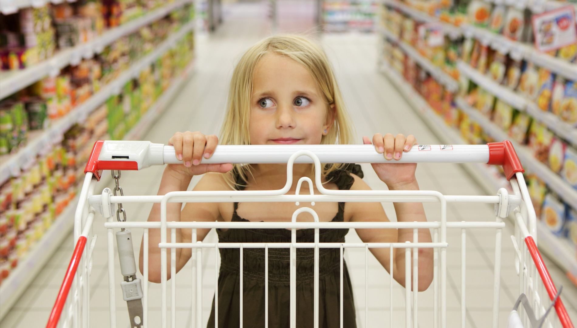 ¿Cuántos gérmenes hay en un carrito de la compra? Los científicos responden